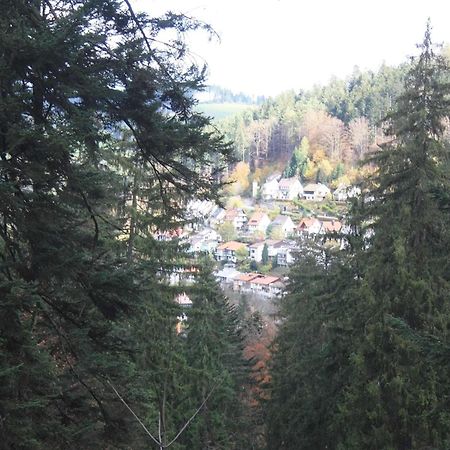 Relaxapartments Black Forest Diamond Direkt An Der Hornberger Freilichtbuehne - Sonnenterrasse Mit Blick Auf Das Hornberger Schloss, Schnelles Internet, Fuer Bis Zu 2 Personen מראה חיצוני תמונה