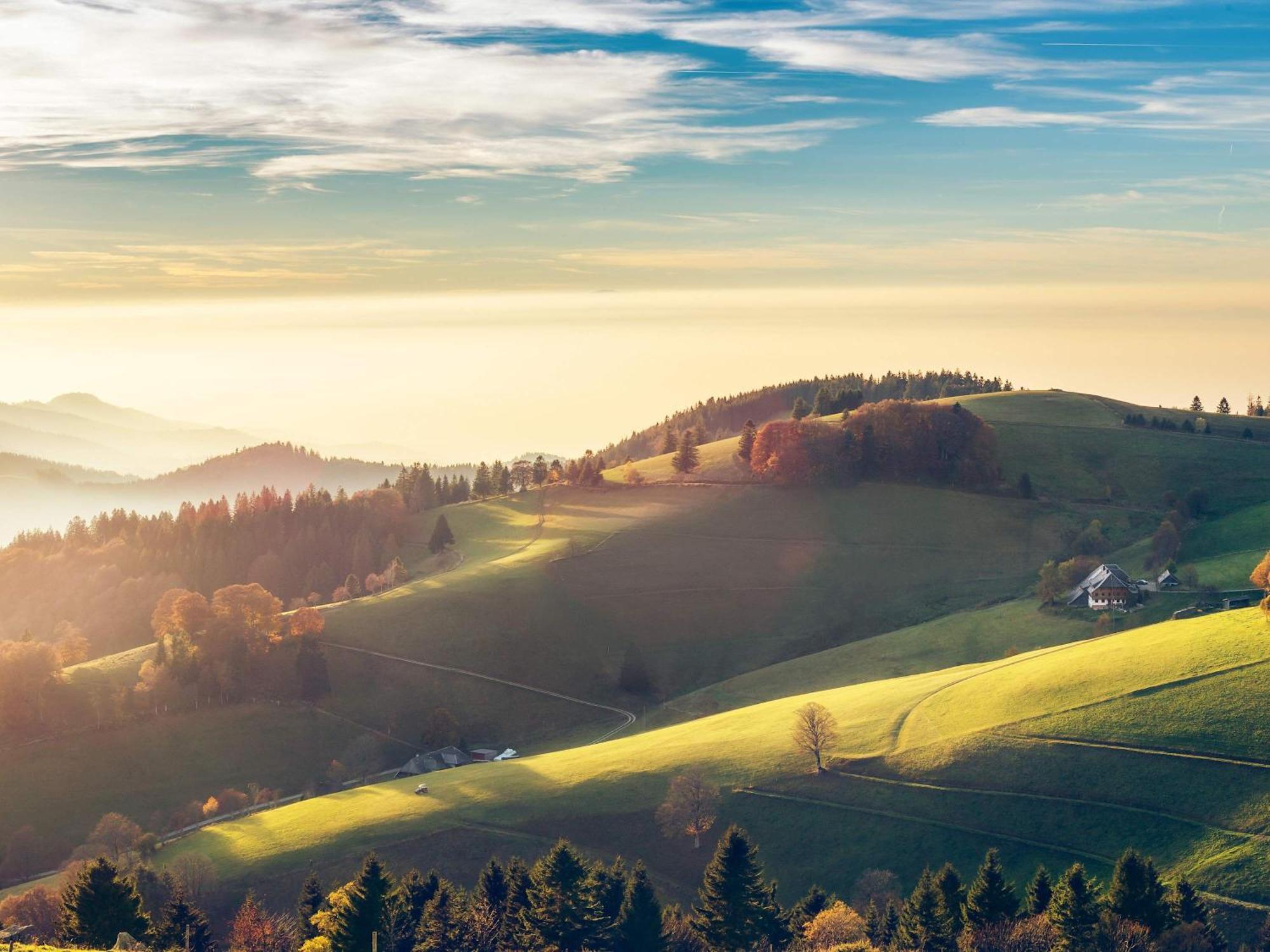 Relaxapartments Black Forest Diamond Direkt An Der Hornberger Freilichtbuehne - Sonnenterrasse Mit Blick Auf Das Hornberger Schloss, Schnelles Internet, Fuer Bis Zu 2 Personen מראה חיצוני תמונה