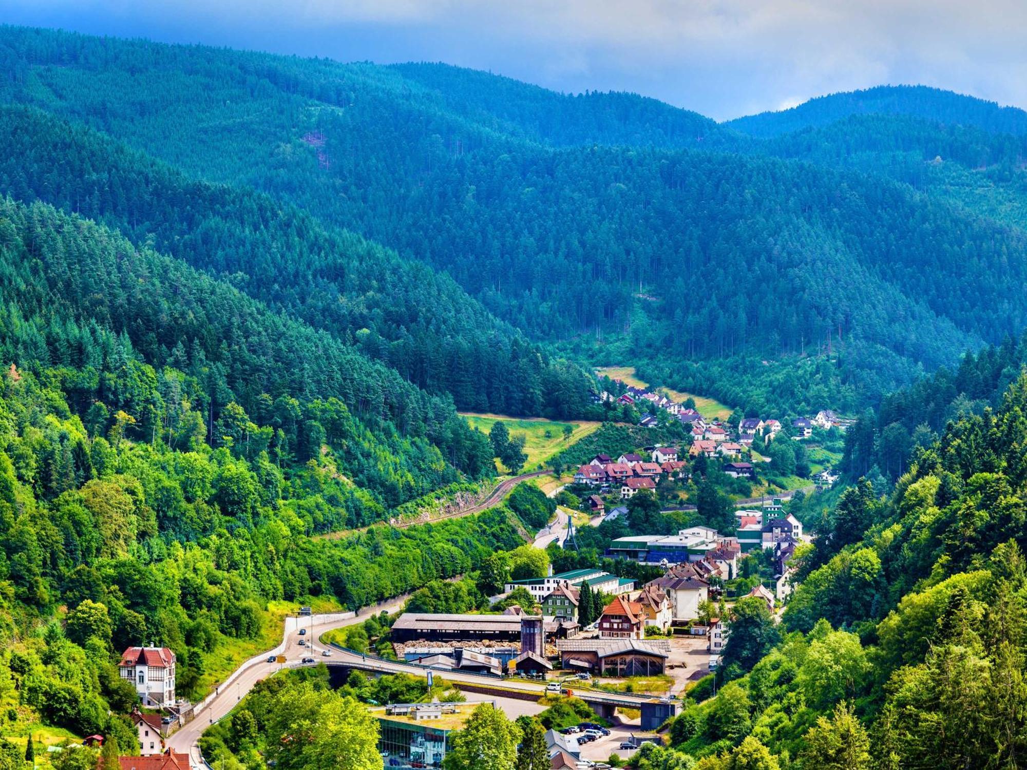 Relaxapartments Black Forest Diamond Direkt An Der Hornberger Freilichtbuehne - Sonnenterrasse Mit Blick Auf Das Hornberger Schloss, Schnelles Internet, Fuer Bis Zu 2 Personen מראה חיצוני תמונה